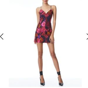 Alice + Olivia Tayla Floral Mini Dress in Black/Multi, size 0